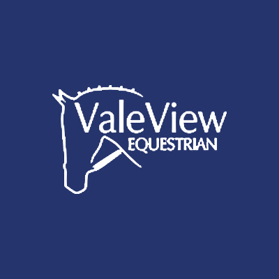 VALEVIEWLOGO