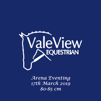 Vale View Arena Eventing 17.03.19 80-85cm