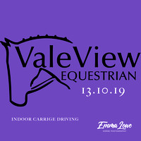 Vale View Indoor Carriage Driving 13.10.19
