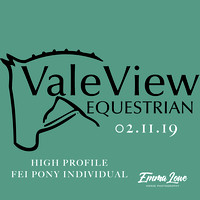 02.11.19 High Profile Show FEI Pony Individual